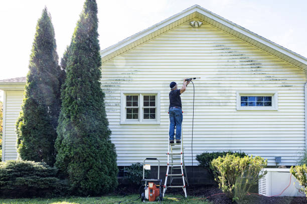 Trusted Belleair, FL Pressure Washing Services Experts